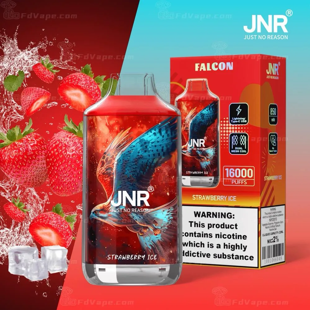 Strawberry Ice — JNR 16&nbsp;000 puffs à Dakar