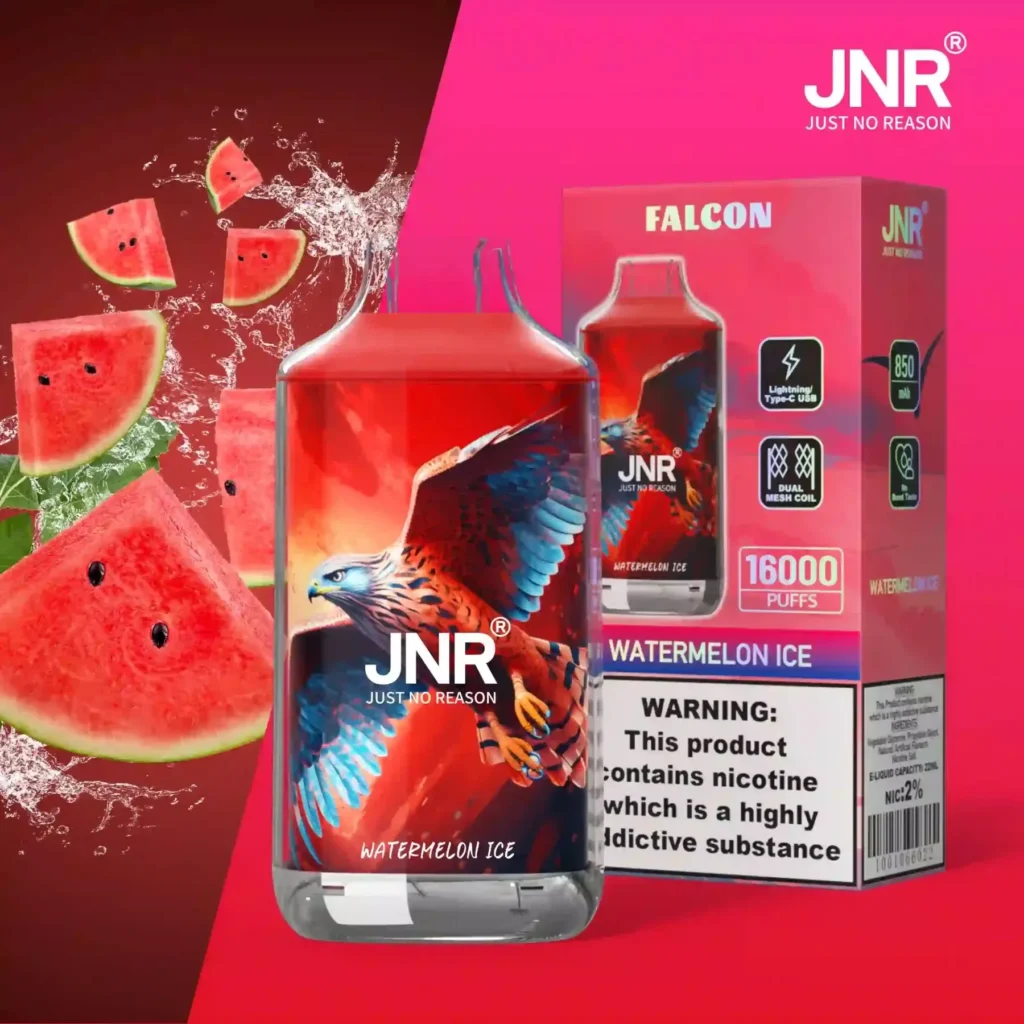 Watermelon Ice — JNR 16&nbsp;000 puffs à Dakar